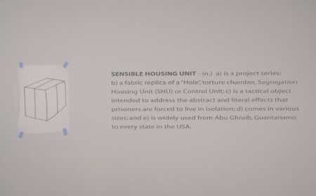 Sensible Housing Unit: detail